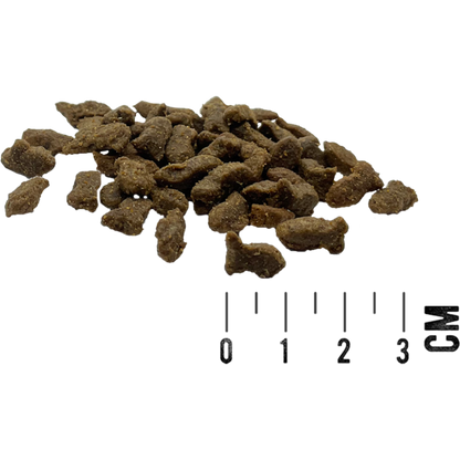 MAC’s Cat – Adult Lachs & Forelle