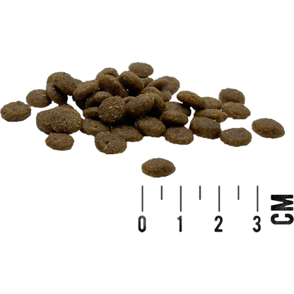 MAC’s Cat – Mono Frisches Pferd