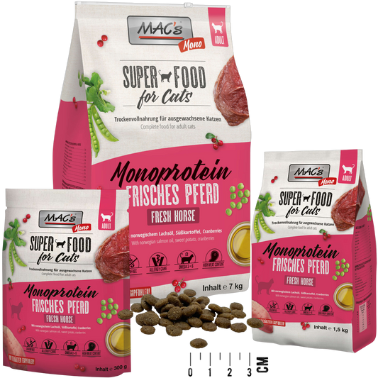 MAC’s Cat – Mono Frisches Pferd