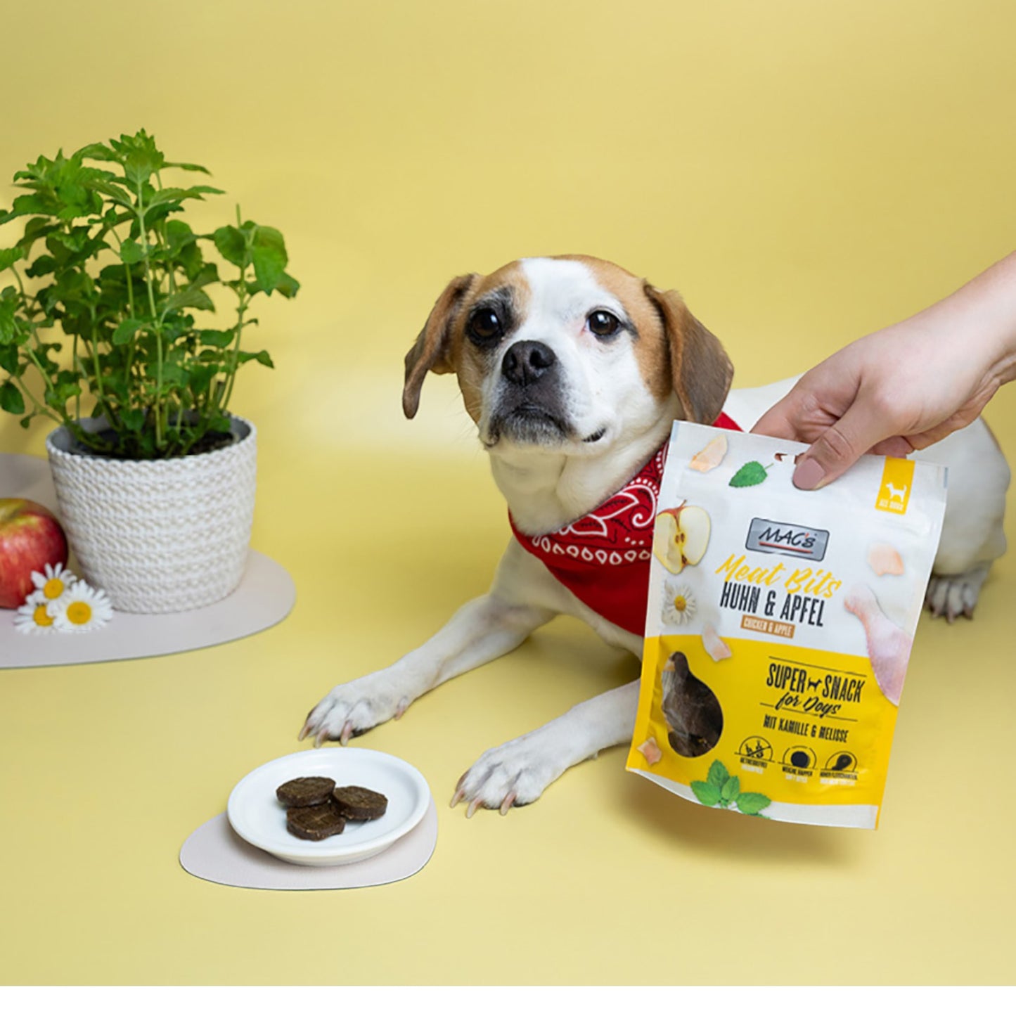 MAC’s Dog – Meat Bits Huhn & Apfel