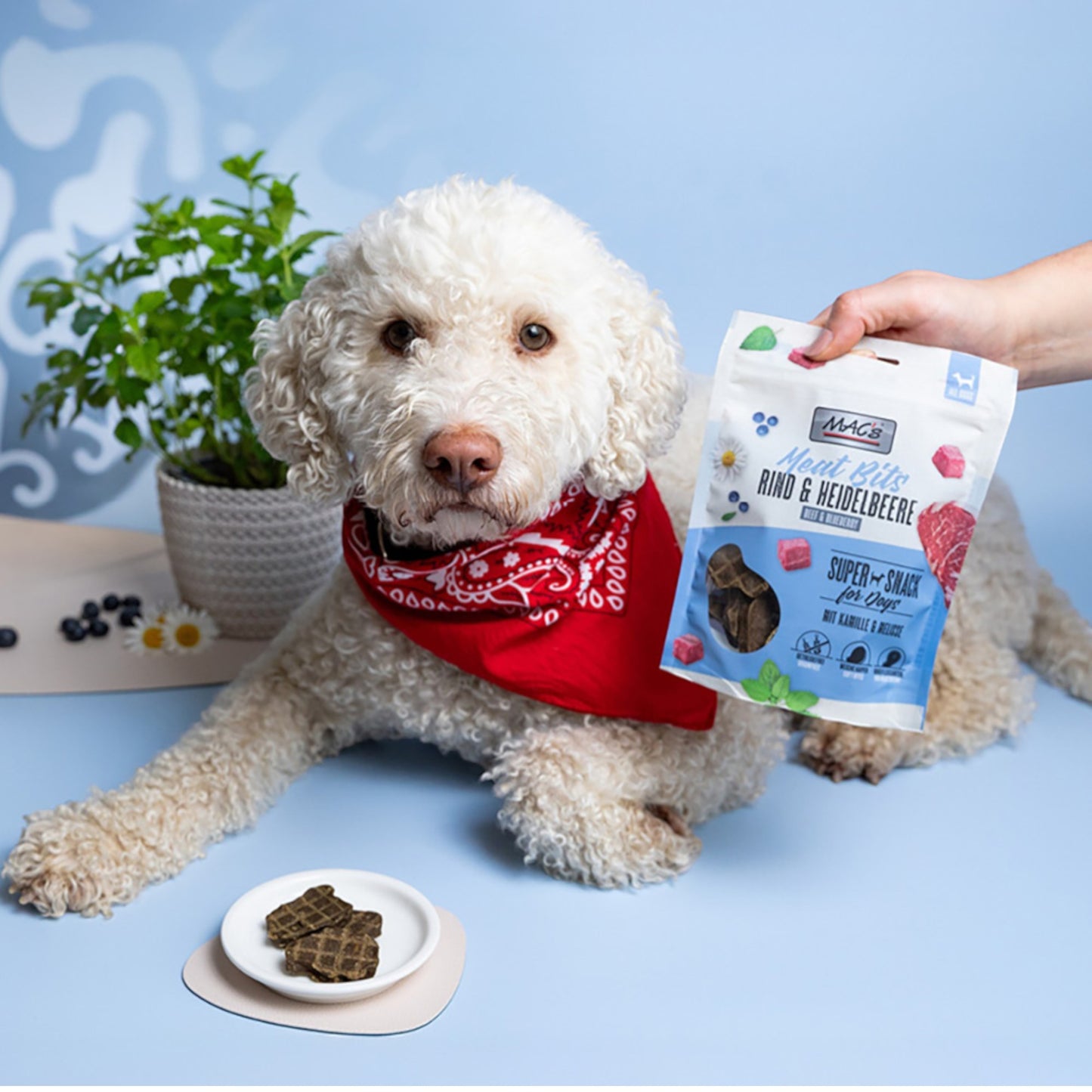 MAC’s Dog – Meat Bits Rind & Heidelbeere