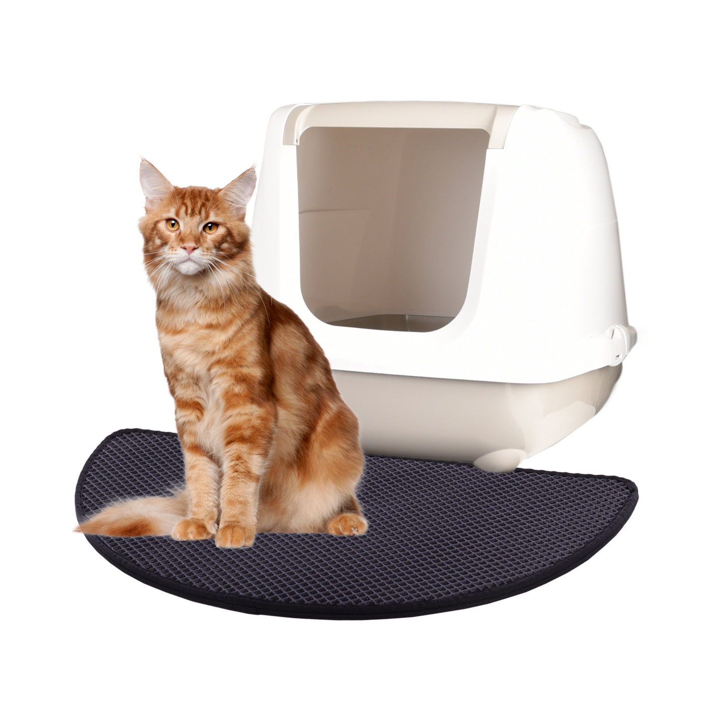 Matz abgerundete Katzenklo-Matte – Sauberkeit und Komfort für Ihr Zuhause