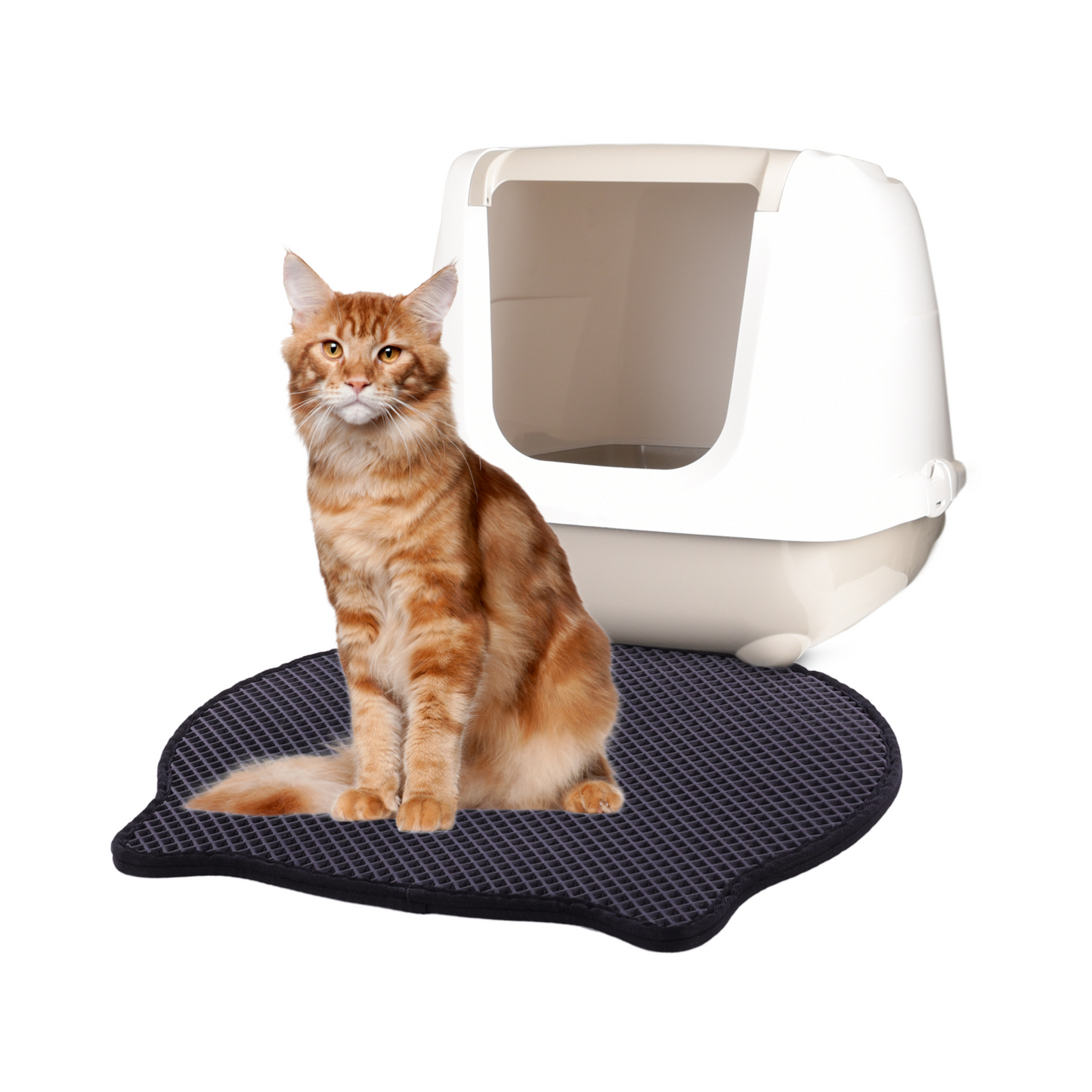 Matz katzenförmige Katzenklo-Matte – Die perfekte Lösung für ein sauberes Zuhause mit Ihrer Katze