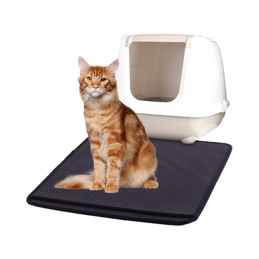 Matz quadratische Katzenklo-Matte – Der perfekte Helfer für ein sauberes Zuhause