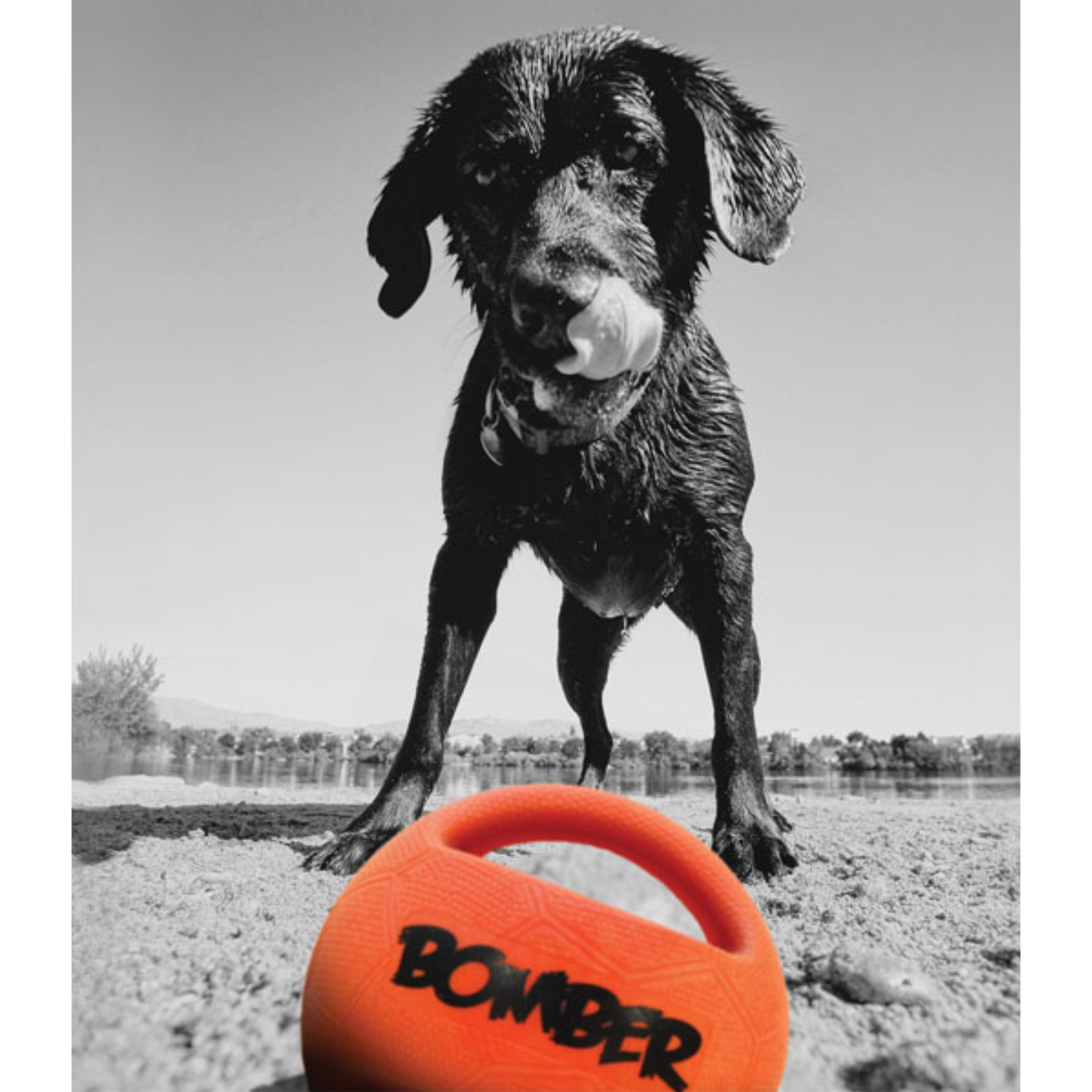 Mehr Spaß. Mehr Power. Mehr Spiel! Entdecke den Durafoam Bomber von Zeus