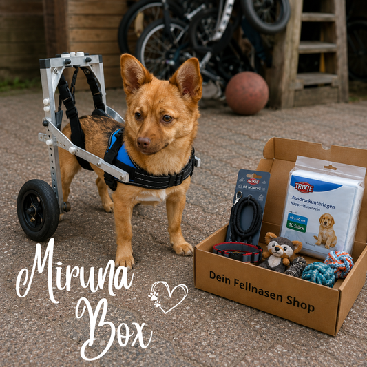 Miruna Box