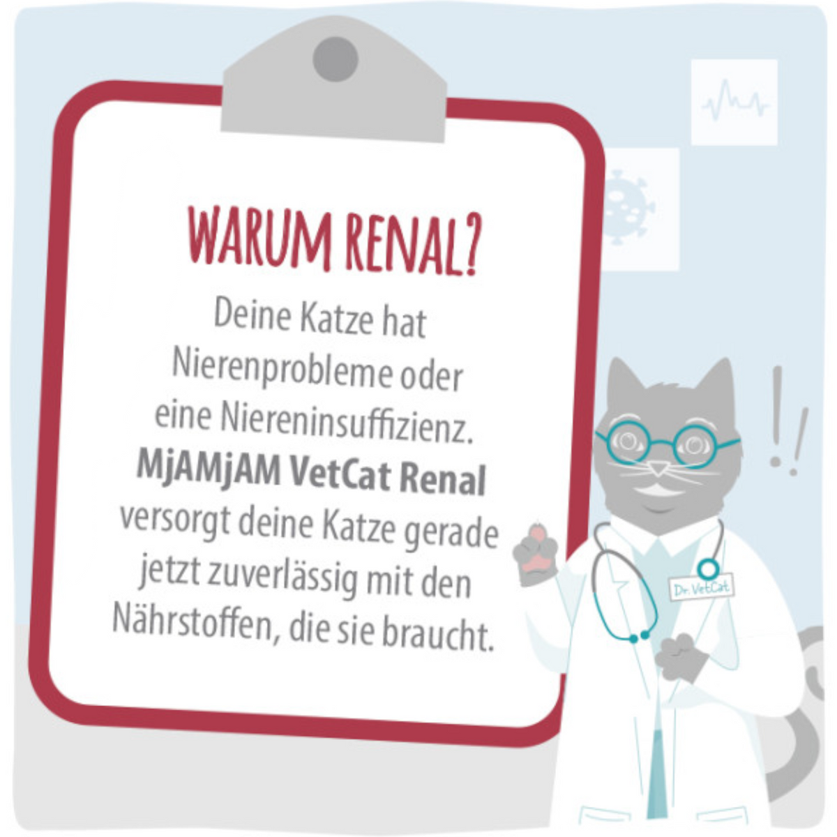 MjAMjAM Cat - VetCat Diät Renal Pute