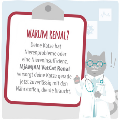 MjAMjAM Cat - VetCat Diät Renal Pute