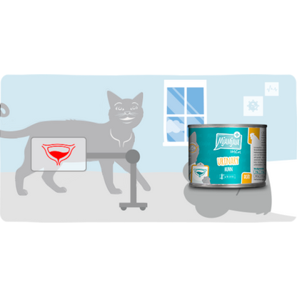 MjAMjAM Cat - VetCat Diät Urinary Huhn