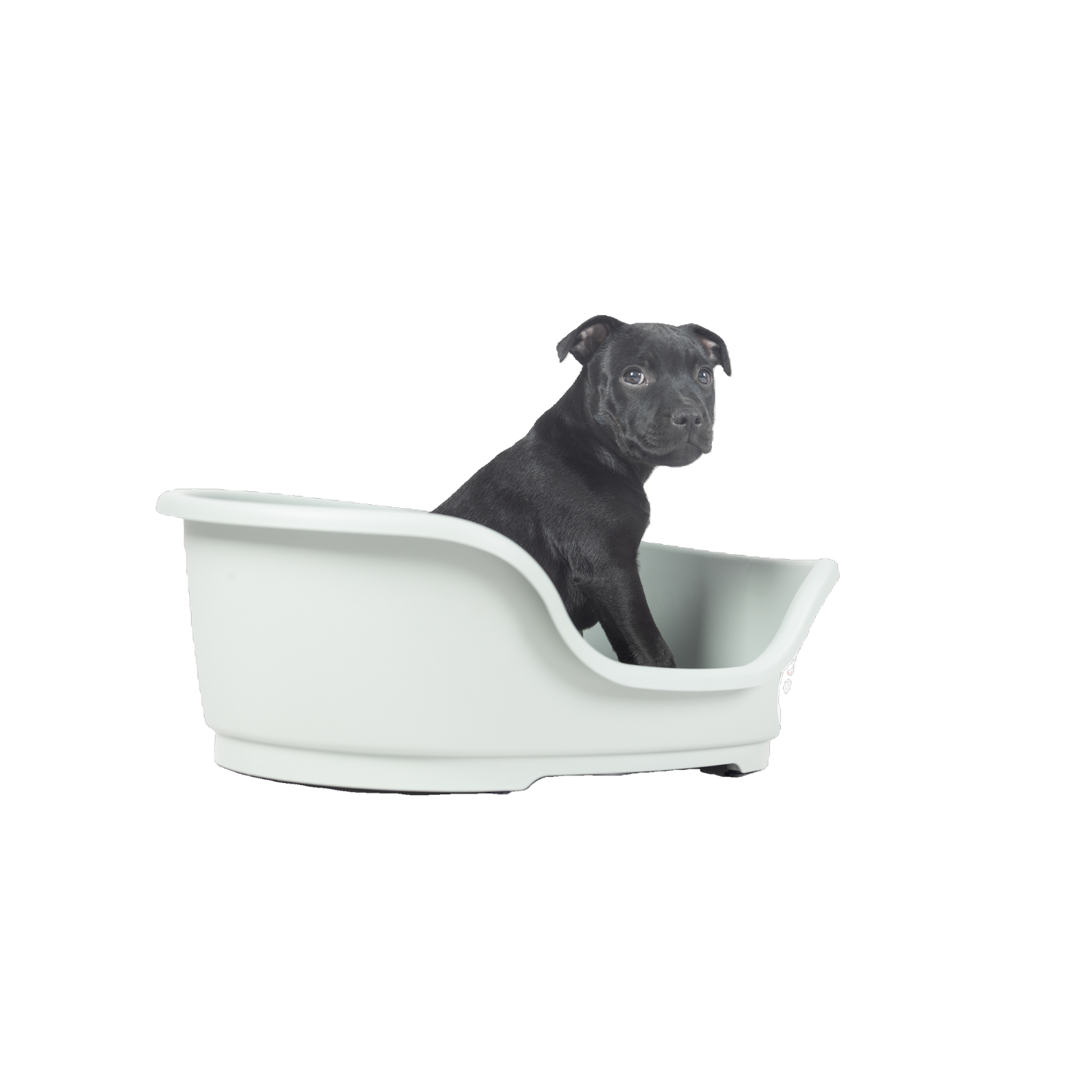 Nachhaltiger Recycelter Kunststoffkorb für Hunde – Komfort trifft Umweltschutz