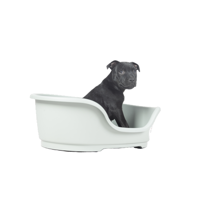 Nachhaltiger Recycelter Kunststoffkorb für Hunde – Komfort trifft Umweltschutz