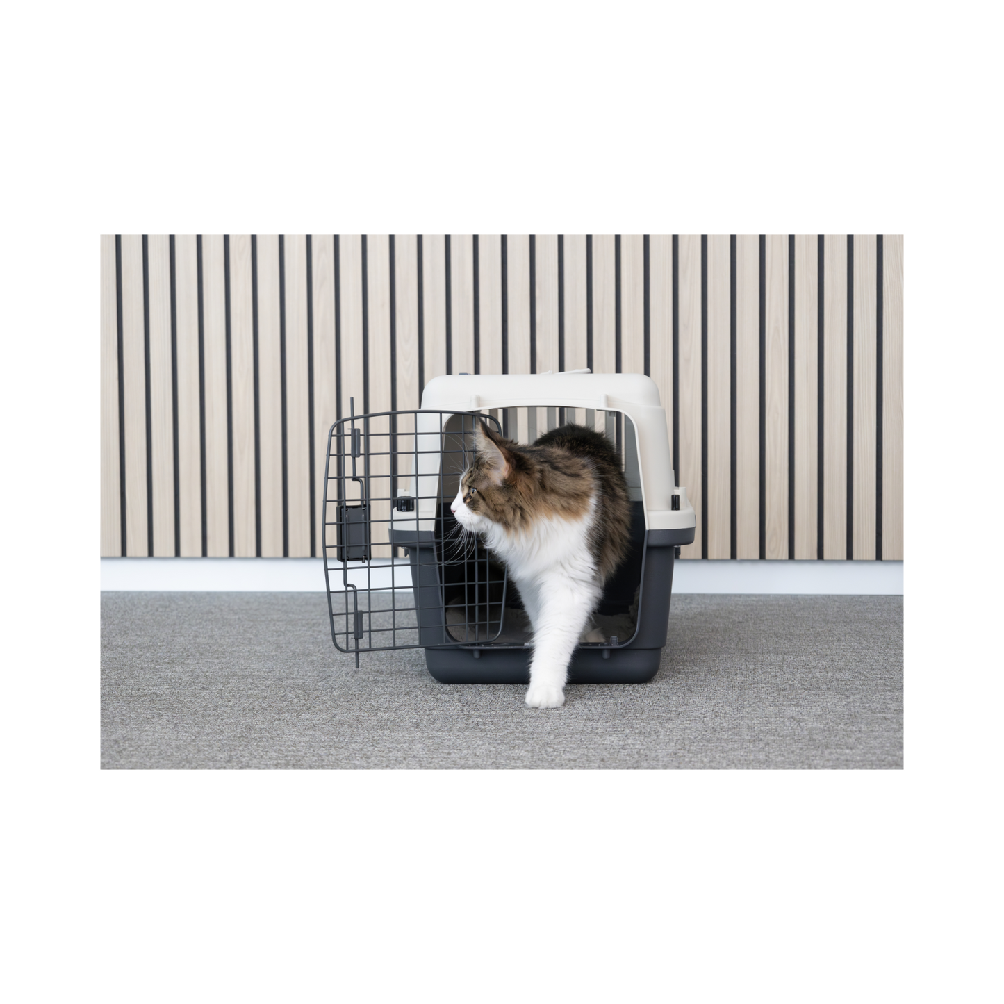 Neto Transportbox – Sicherer & Komfortabler Transport für Ihr Haustier