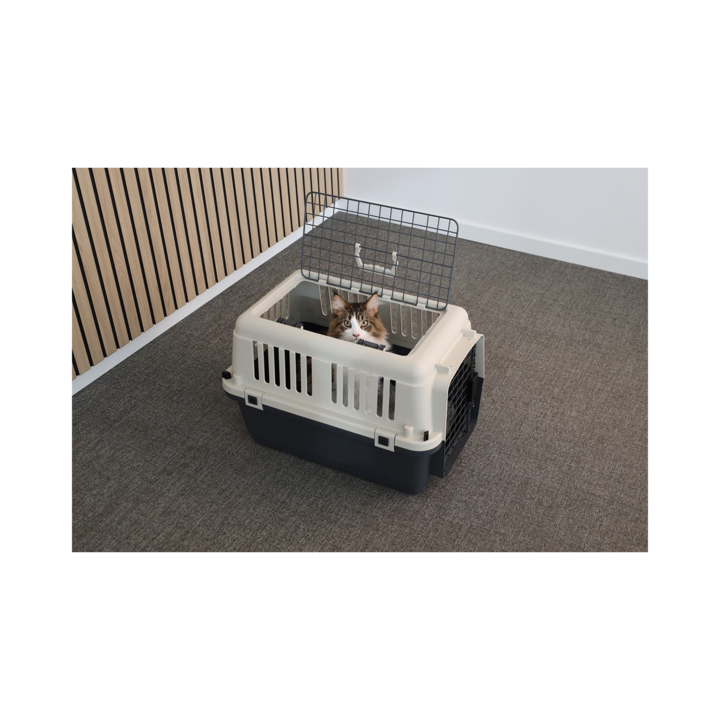 Neto Transportbox – Sicherer & Komfortabler Transport für Ihr Haustier