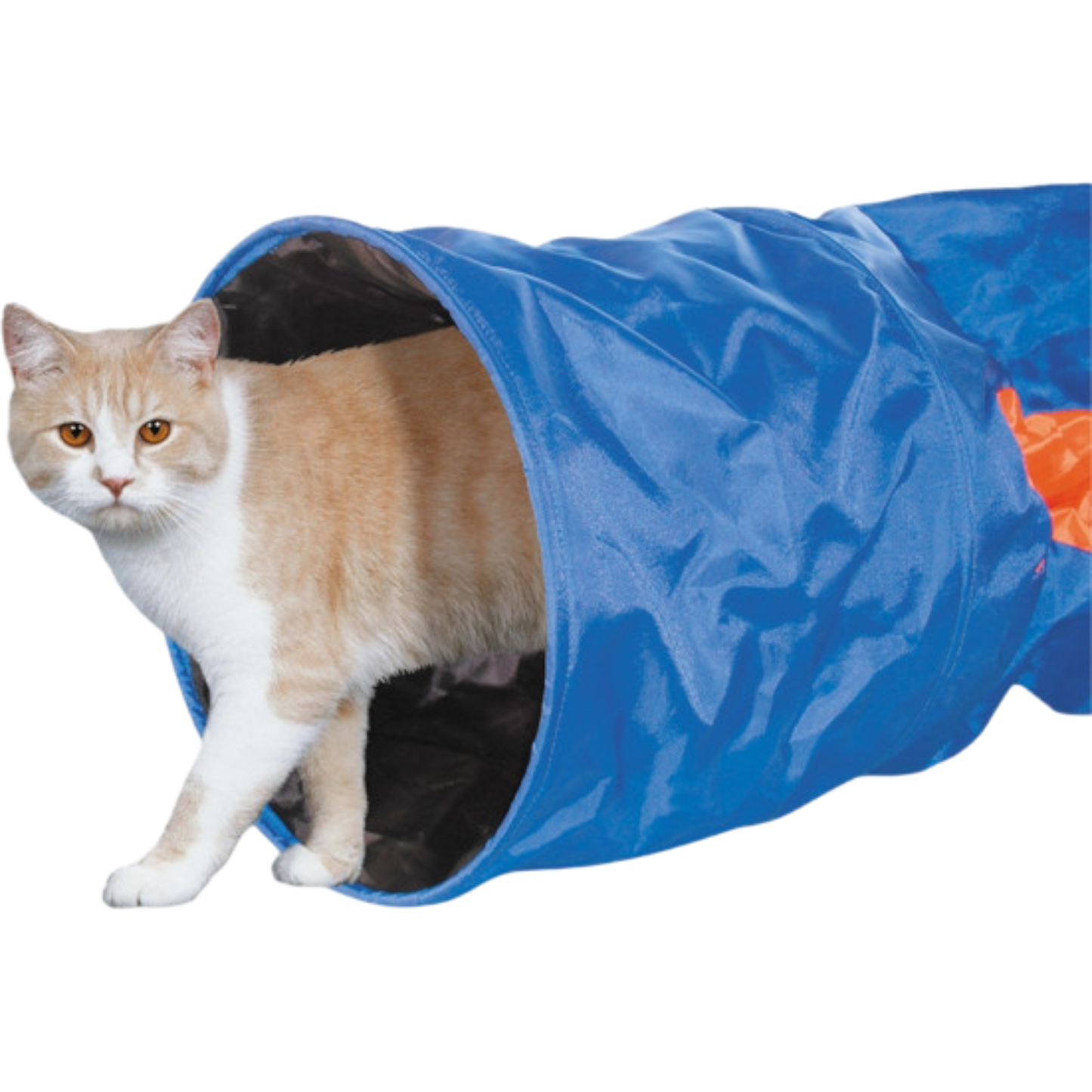 Nobby - Katzentunnel