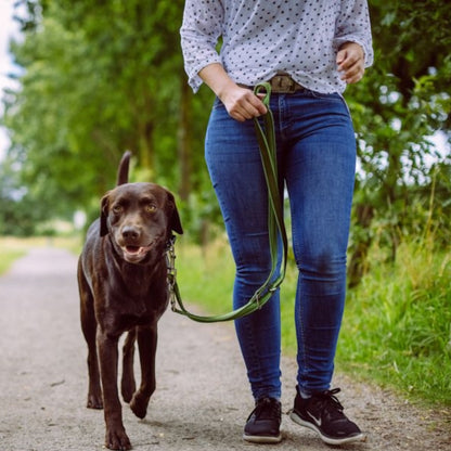 Nobby – Hundeleine Führleine Classic Preno