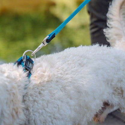 Nobby – Hundeleine Mesh Preno