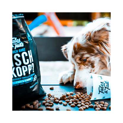 Noch ganz Fisch im Kopp – softes Trockenfutter mit Fisch