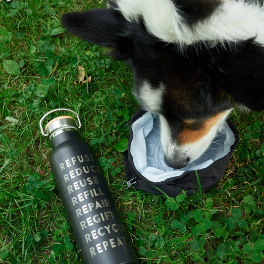 Redoggo Faltbarer Napf – Leicht, nachhaltig & immer dabei