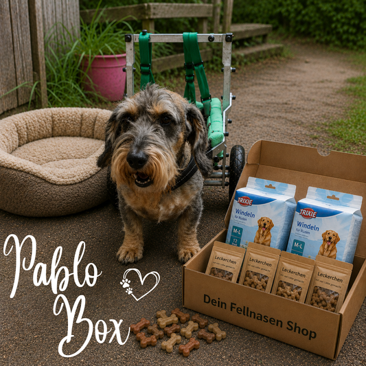 Pablo Box