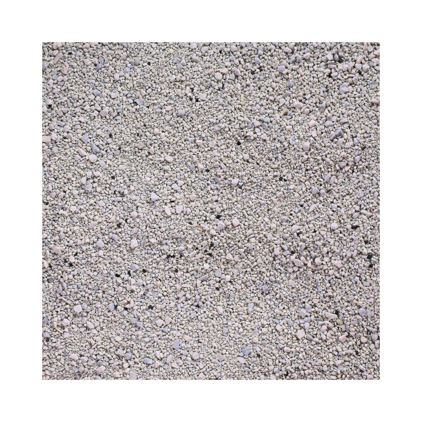 Premium Katzenstreu mit Aktivkohle – Maximale Hygiene & Geruchsneutralisierung