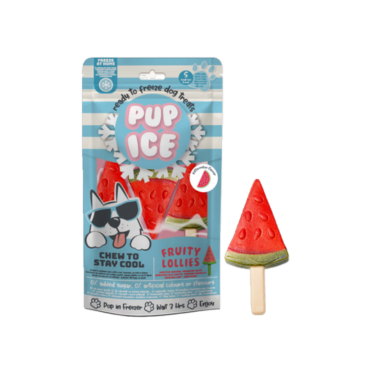 Pup Ice Fruity Lollies Watermelon - Der coole Kausnack zum Einfrieren für Hunde