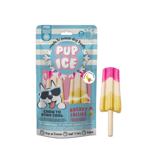 Pup Ice Rocket Lollies Banana Chocolate - Der coole Kausnack zum Einfrieren für Hunde