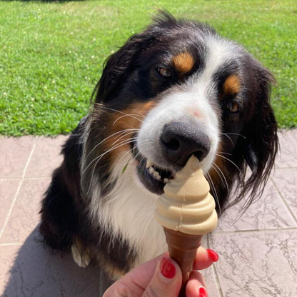 Pup Ice - Eiswaffeltüte Vanille-Erdnussbutter
