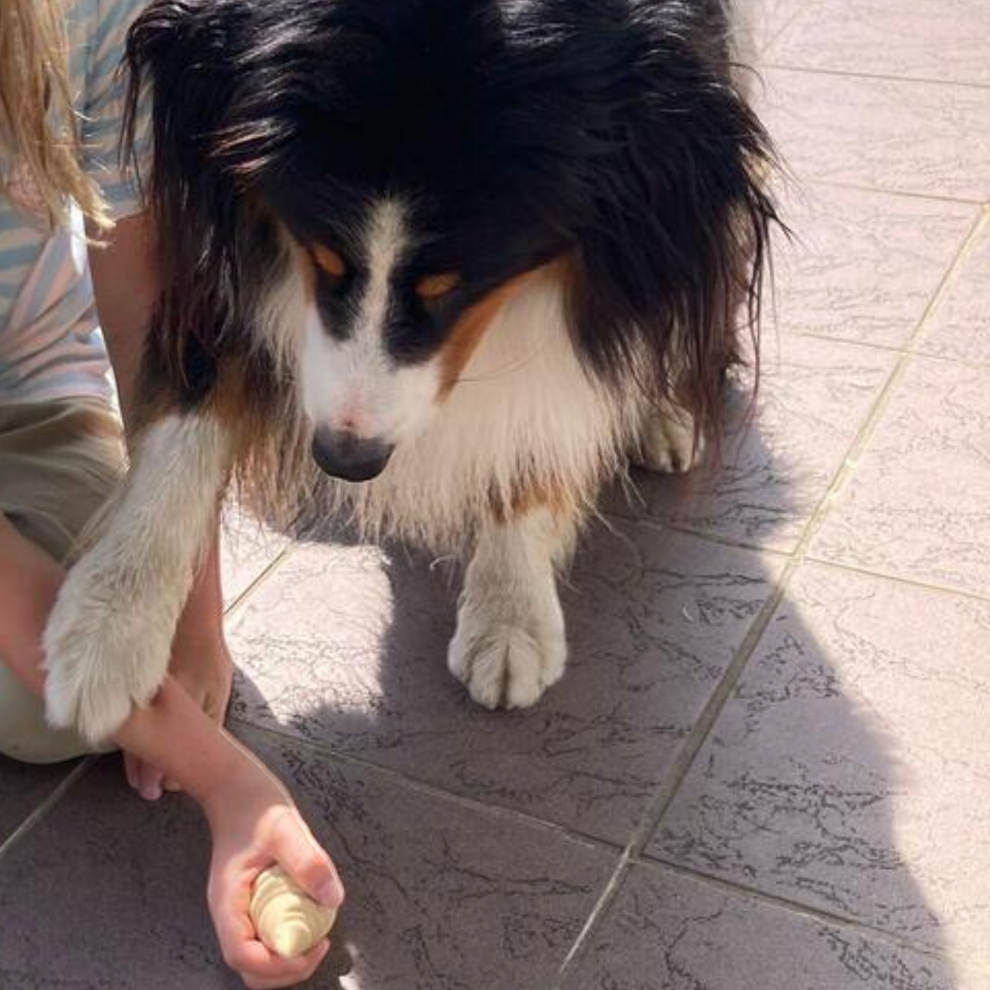 Pup Ice - Eiswaffeltüte Vanille-Erdnussbutter