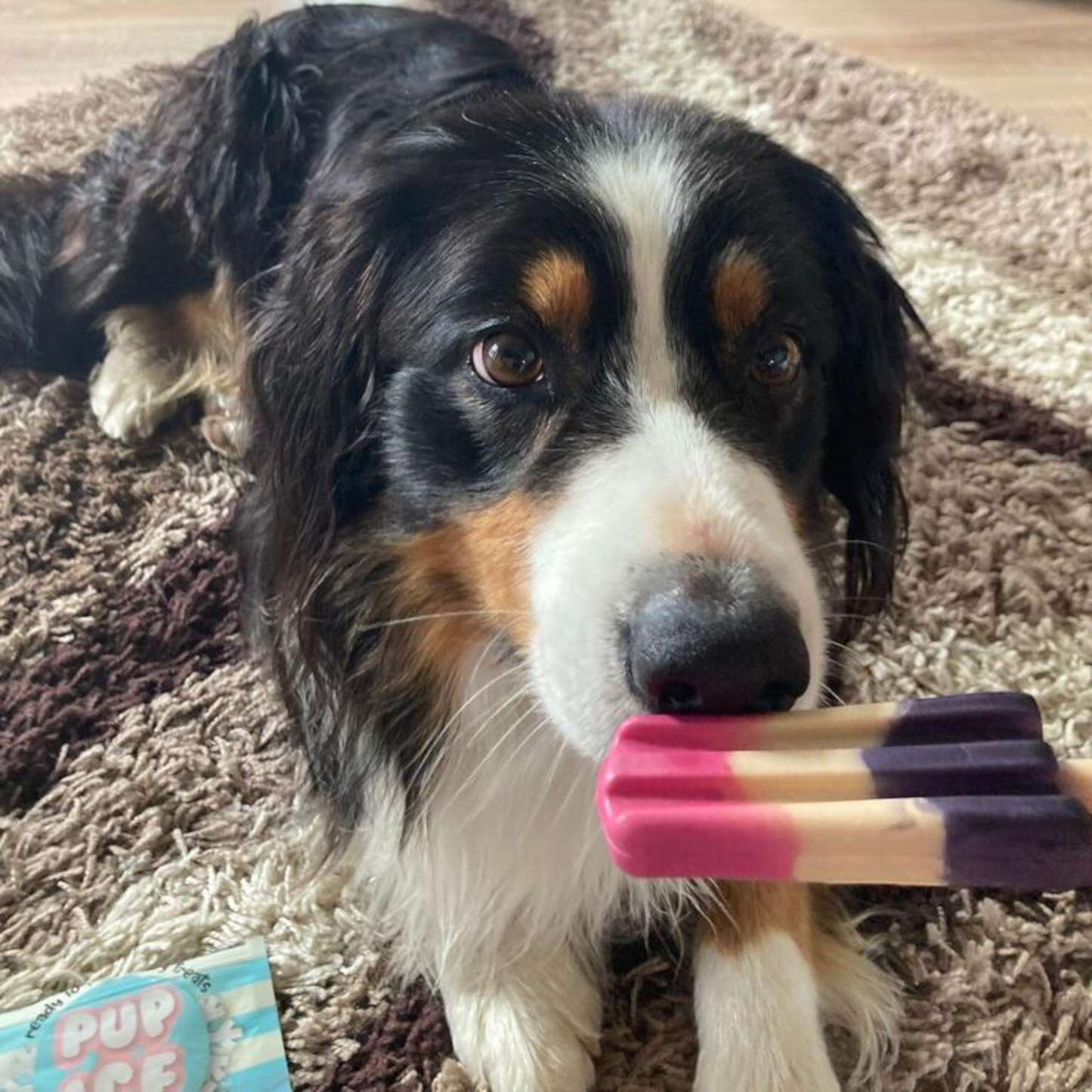 Pup Ice - Raketen-Eislutscher Erdbeere-Heidelbeere