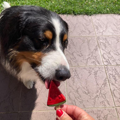 Pup Ice – Fruchtiger Eislutscher Wassermelone