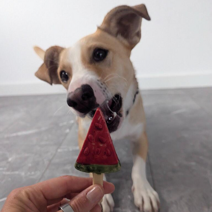 Pup Ice – Fruchtiger Eislutscher Wassermelone