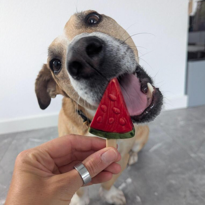 Pup Ice – Fruchtiger Eislutscher Wassermelone