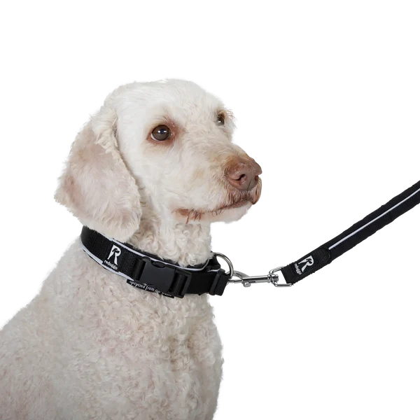 Redoggo Halsband – Stylisch, leicht & sicher sichtbar