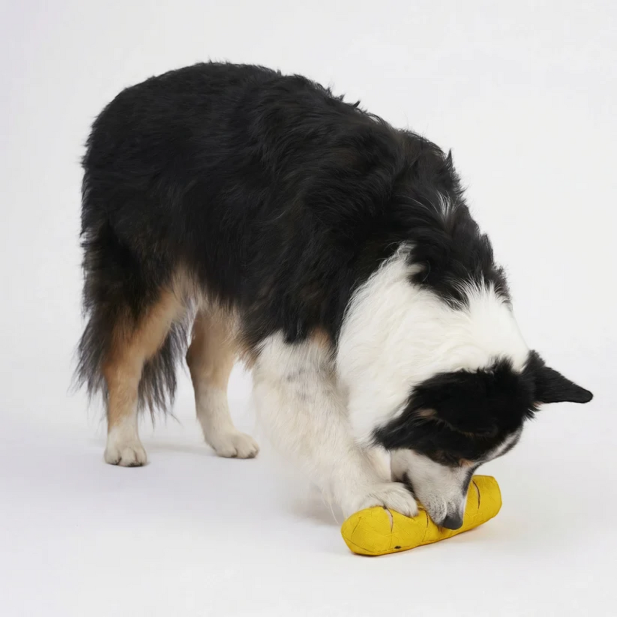 Redoggo Baguette – Interaktives Schnüffelspielzeug aus Upcycling-Material