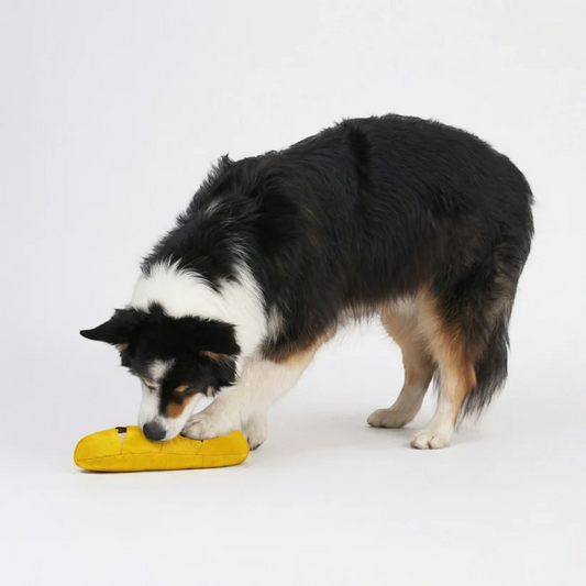 Redoggo Baguette – Interaktives Schnüffelspielzeug aus Upcycling-Material