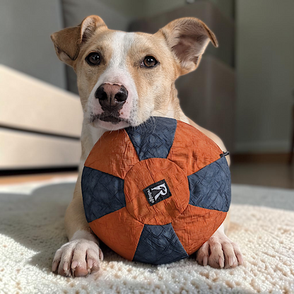 Redoggo Ball – Robustes Hundespielzeug aus Upcycling-Material