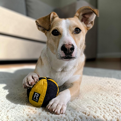 Redoggo Ball – Robustes Hundespielzeug aus Upcycling-Material