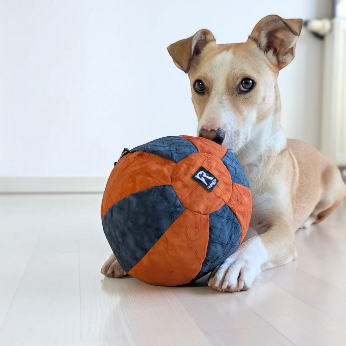 Redoggo Ball – Robustes Hundespielzeug aus Upcycling-Material