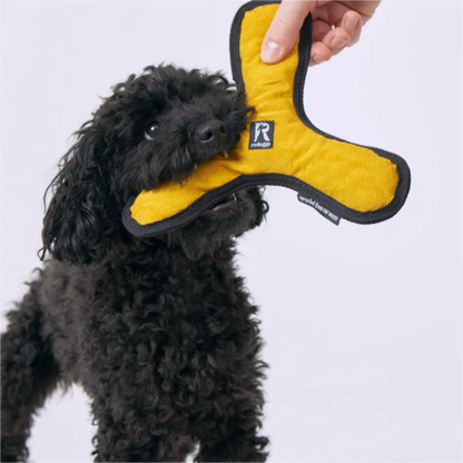 Redoggo Bumerang – Nachhaltiger Wurfspaß für flinke Hunde