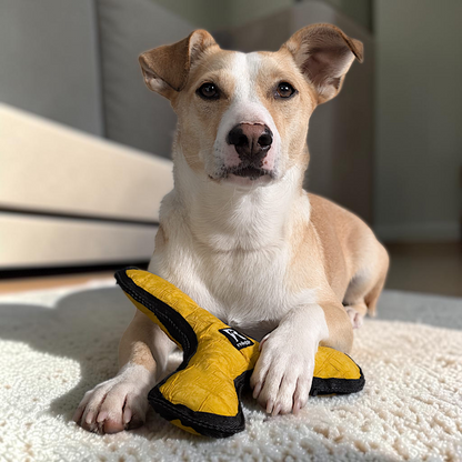 Redoggo Bumerang – Robustes Hundespielzeug aus Upcycling-Material