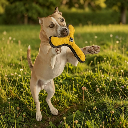Redoggo Bumerang – Robustes Hundespielzeug aus Upcycling-Material