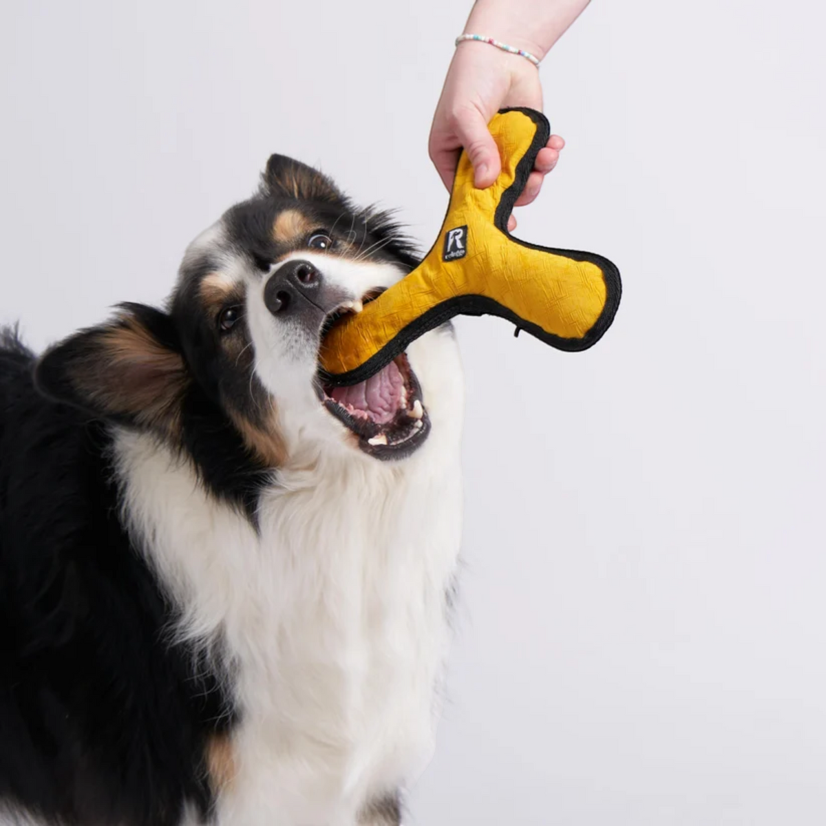 Redoggo Bumerang – Robustes Hundespielzeug aus Upcycling-Material