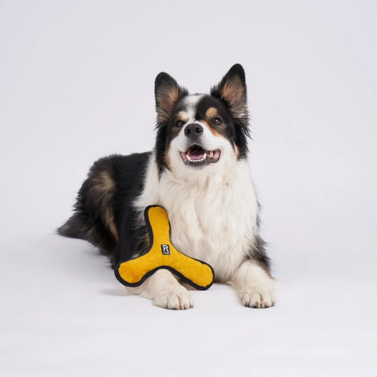 Redoggo Bumerang – Robustes Hundespielzeug aus Upcycling-Material