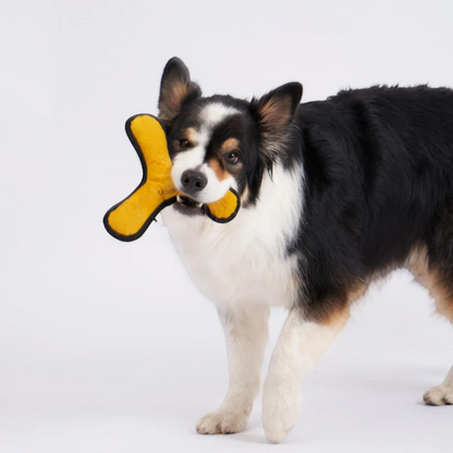 Redoggo Bumerang – Robustes Hundespielzeug aus Upcycling-Material