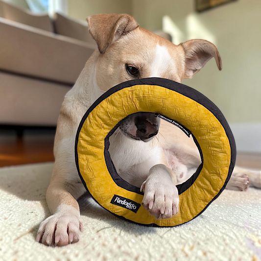 Redoggo Donut – Robustes Hundespielzeug aus Upcycling-Material