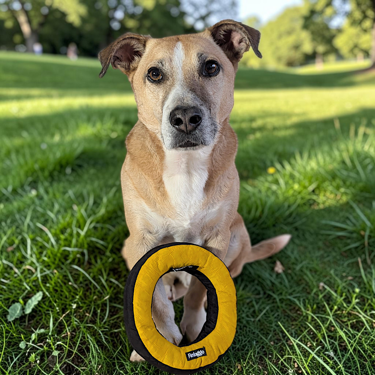 Redoggo Donut – Robustes Hundespielzeug aus Upcycling-Material