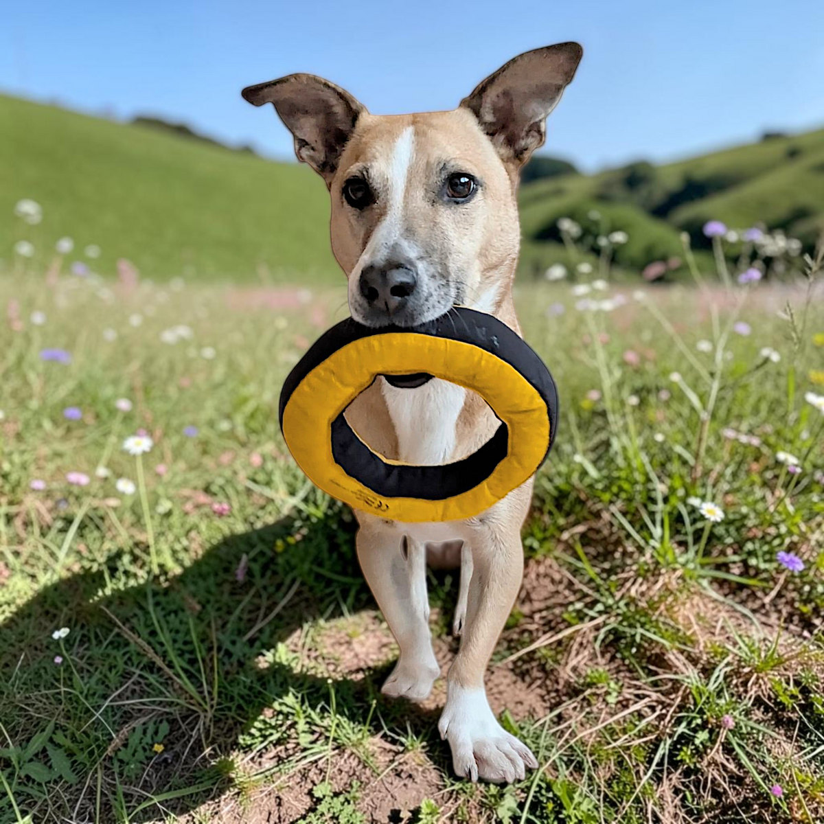 Redoggo Donut – Robustes Hundespielzeug aus Upcycling-Material