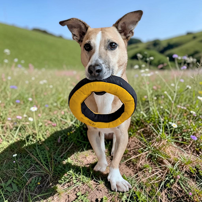 Redoggo Donut – Robustes Hundespielzeug aus Upcycling-Material