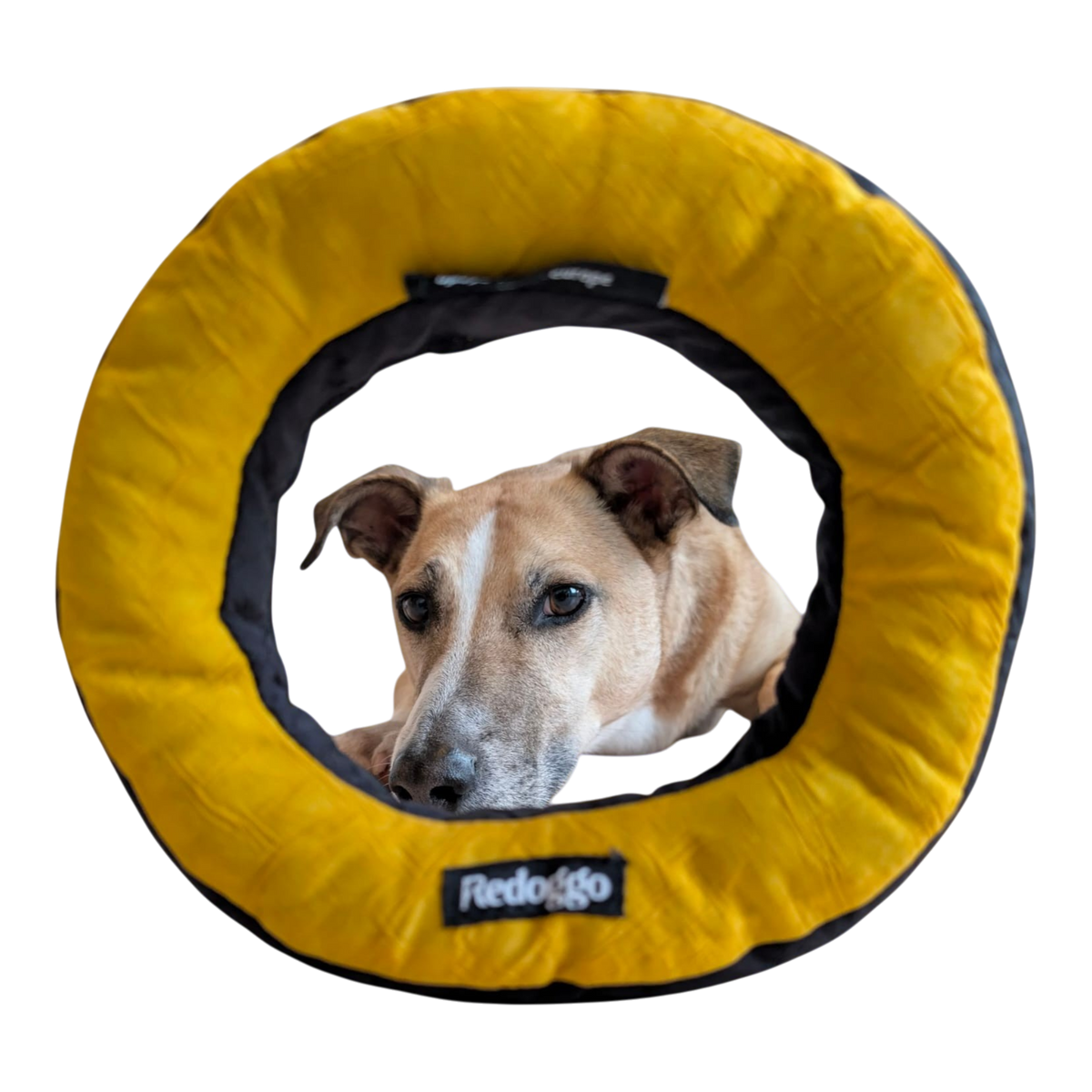 Redoggo Donut – Robustes Hundespielzeug aus Upcycling-Material