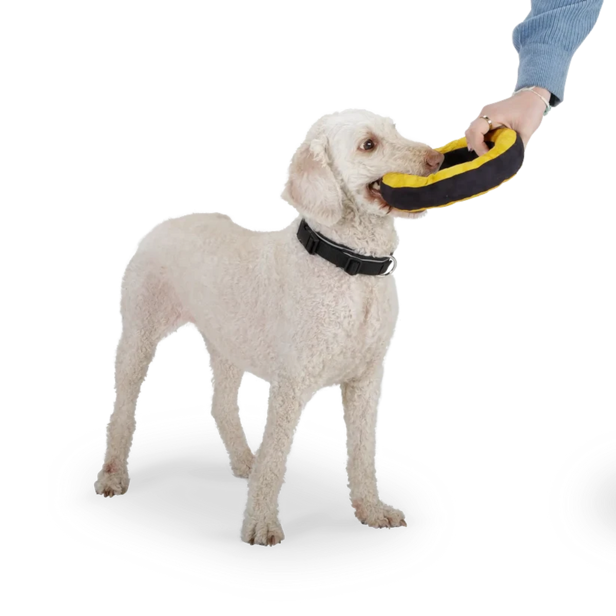 Redoggo Donut – Robustes Hundespielzeug aus Upcycling-Material